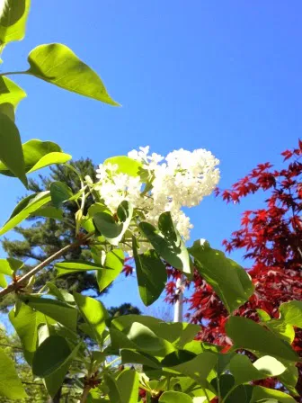 Field & Stream RV Park 2