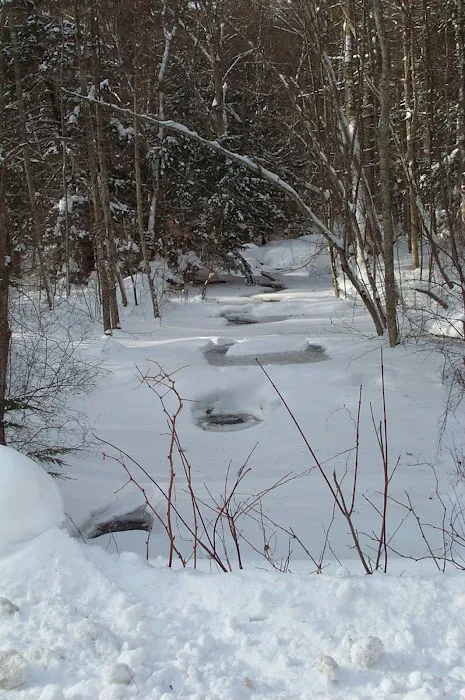 Field & Stream RV Park 7