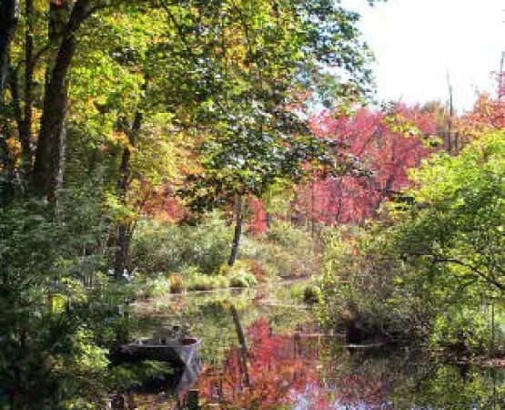 Field & Stream RV Park