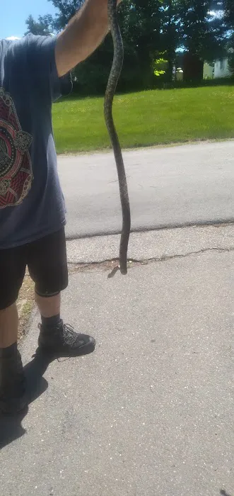 Suburban Village Mobile Home Park 2