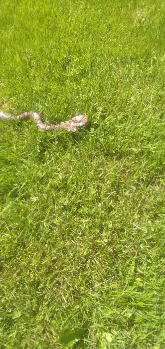 Suburban Village Mobile Home Park 4