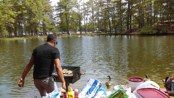 Shady Point Beach & Campground 4