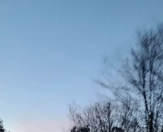 Acme Mobile Home Park