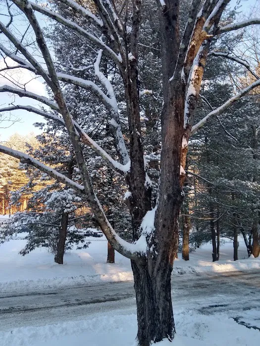 Acme Mobile Home Park 5