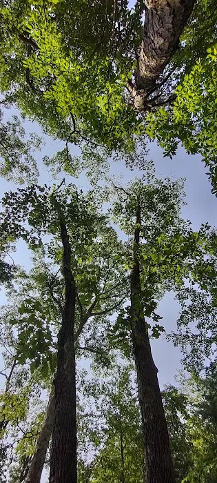 Campsite Richard Byrd 0