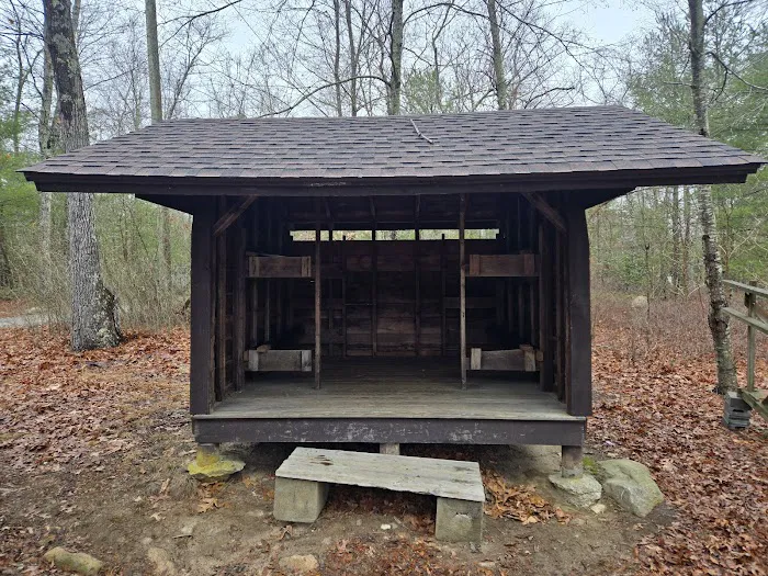 Campsite Backwoods 4