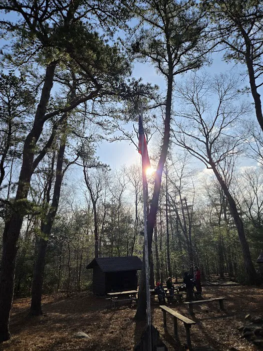 Campsite Backwoods 3