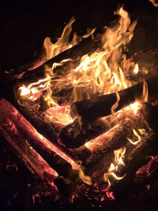 Campsite Backwoods 1