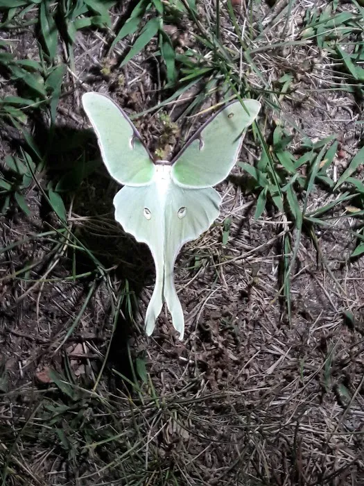 Greenwood Hill Campground Associates 0