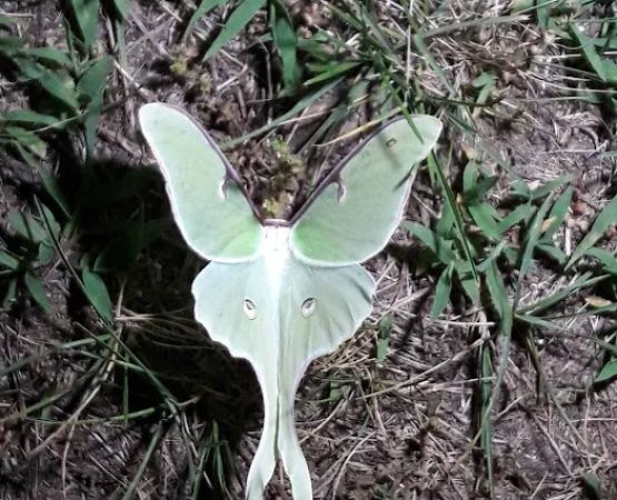 Greenwood Hill Campground Associates