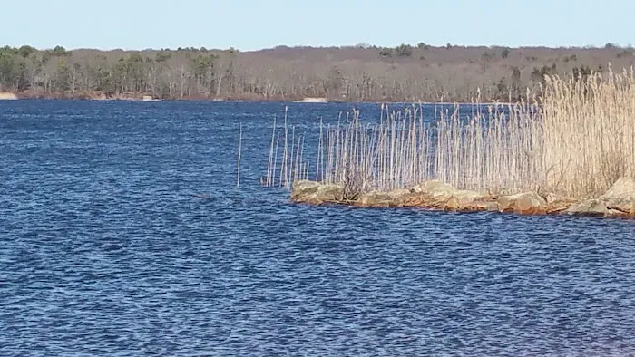 Worden Pond Family Campground 5