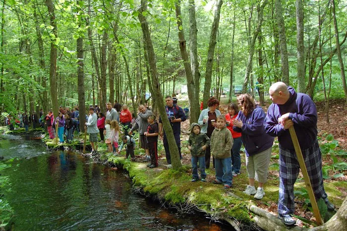 Whispering Pines Campground 8