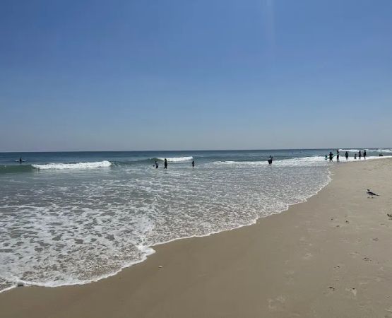Assateague State Park Youth Group Campsites