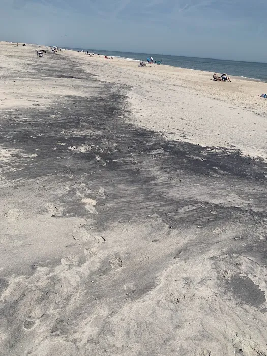 Assateague National Seashore Campground - Spot Bayside B33 8