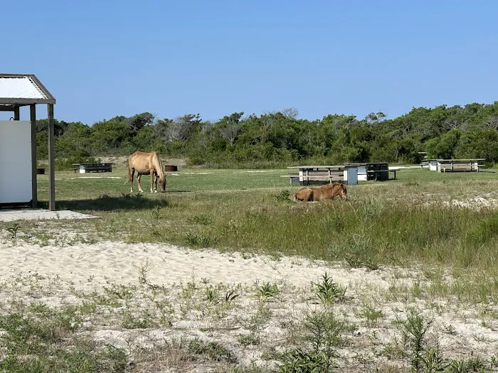 Assateague National Seashore Campground - Spot Bayside B33 7