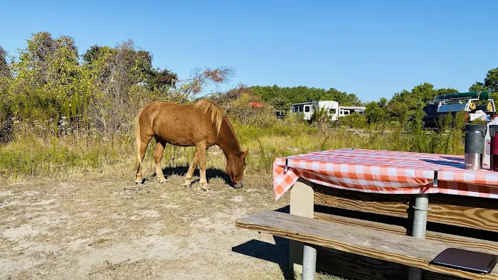 Bayside Drive-in Campground 7