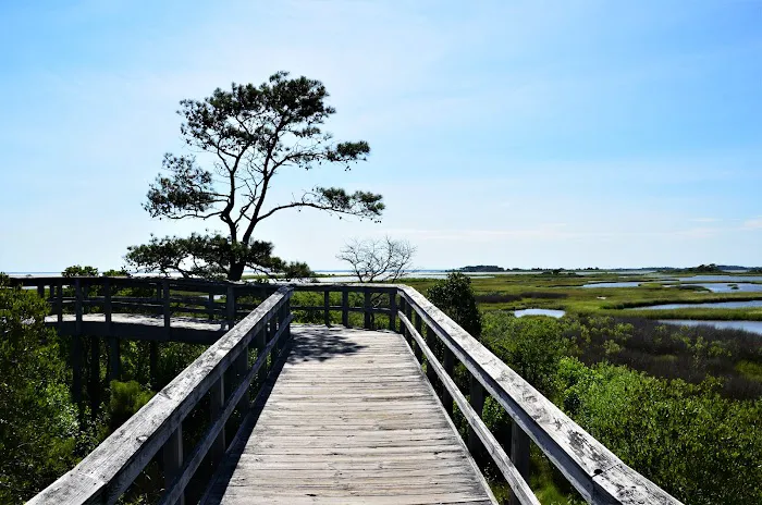 Bayside Drive-in Campground 0