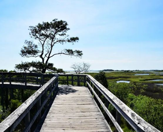 Bayside Drive-in Campground