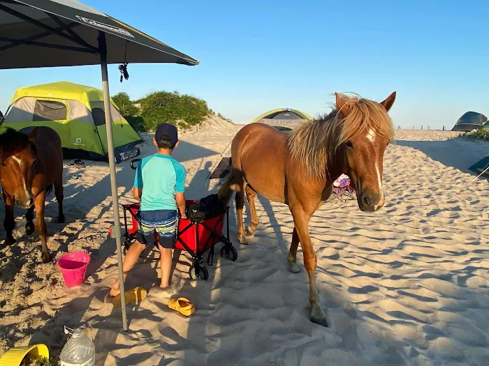 Oceanside Group Campground 8