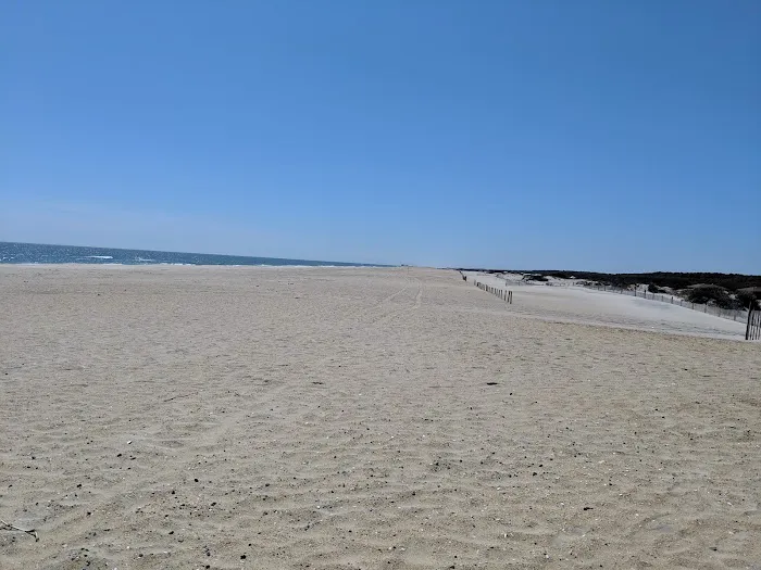 Oceanside Group Campground 5