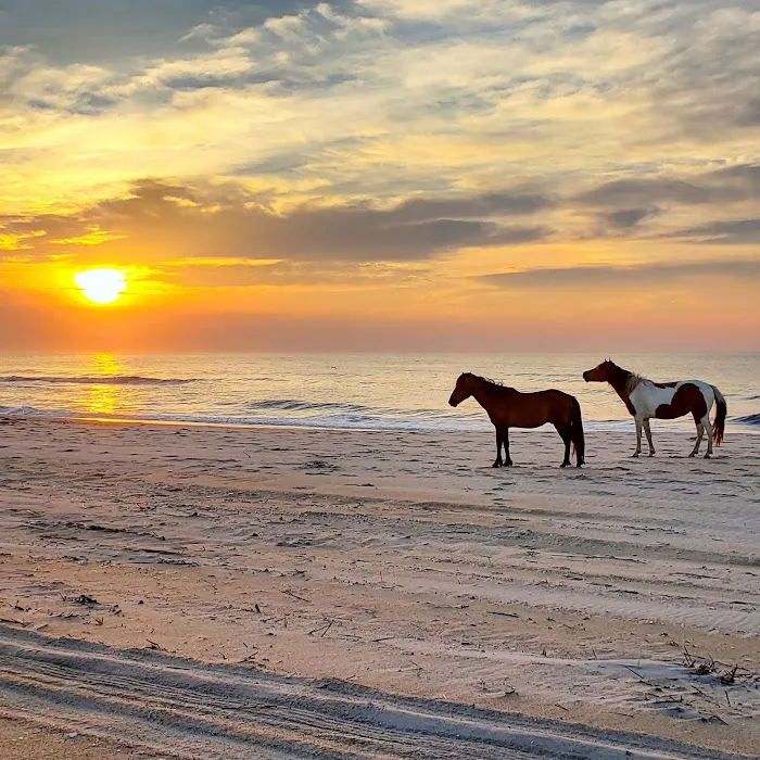 Oceanside Drive-In Campground 2