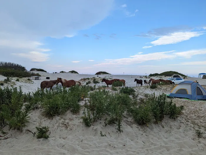 Oceanside Drive-In Campground 3