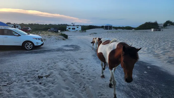 Oceanside Drive-In Campground 7