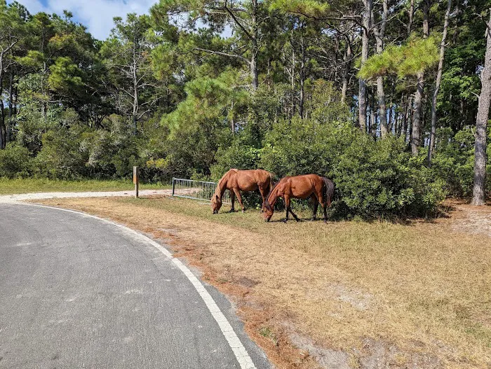 Oceanside Drive-In Campground 8