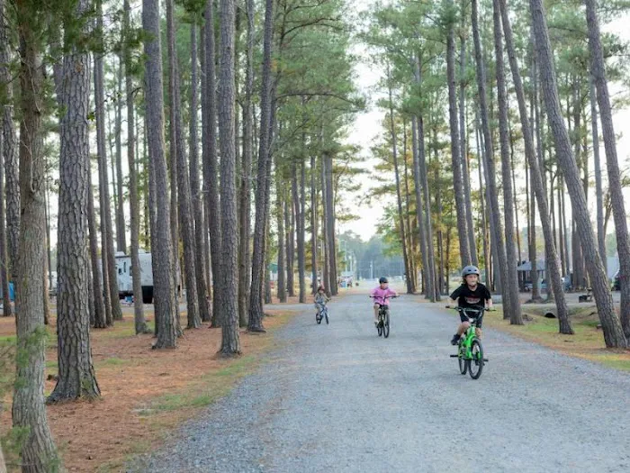 Tall Pines / Chesapeake Bay KOA 9