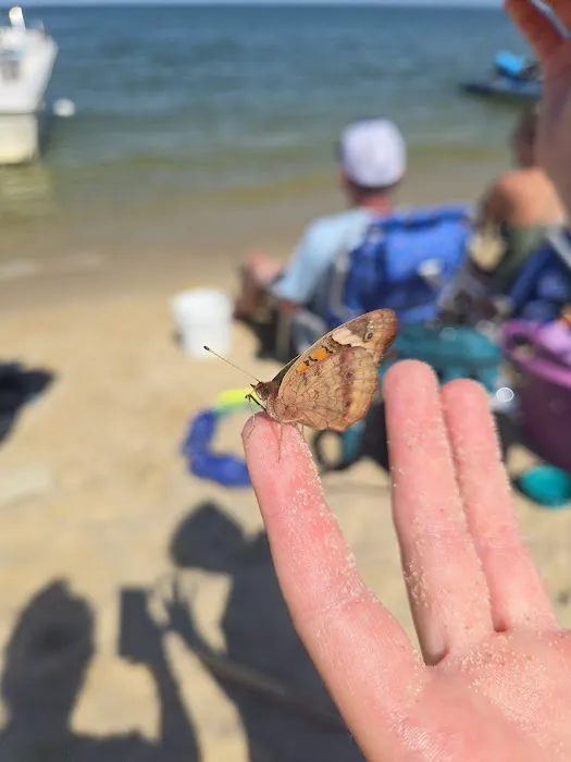 Little River Campground, LLC 1