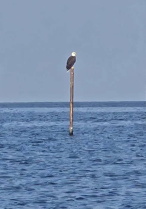 Little River Campground, LLC 0