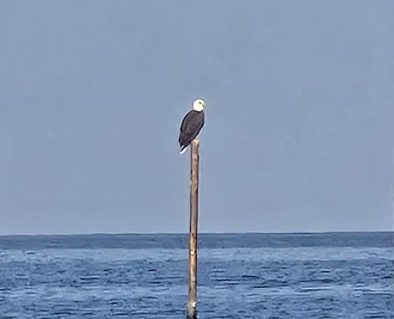 Little River Campground, LLC