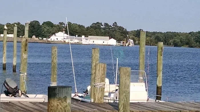 Chesapeake Bay Camp Ground 9