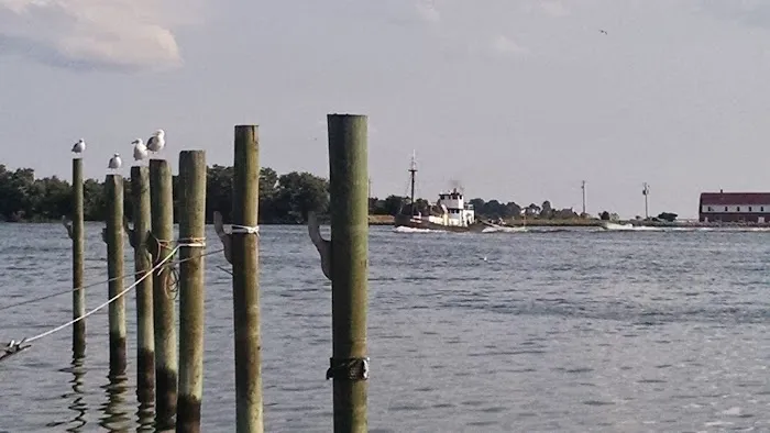 Chesapeake Bay Camp Ground 5