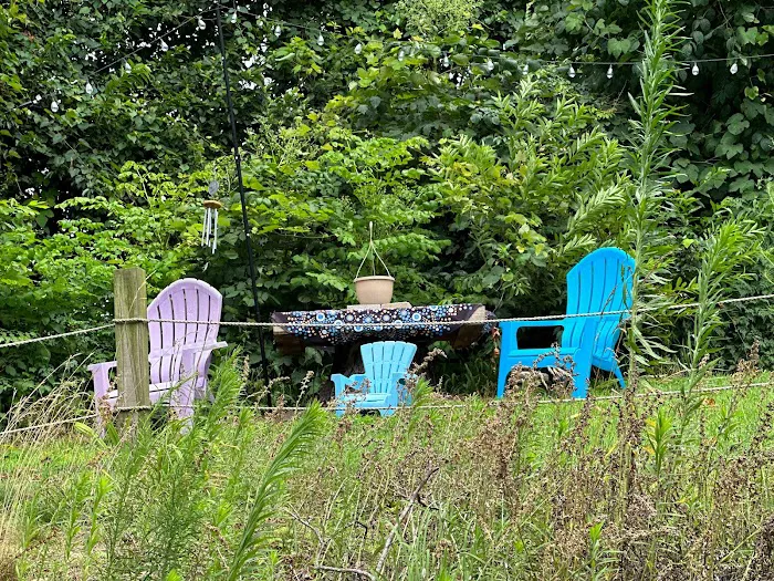 Boho Camping VibeZ 1