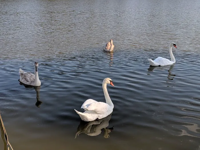 Monroe Bay Campground 6