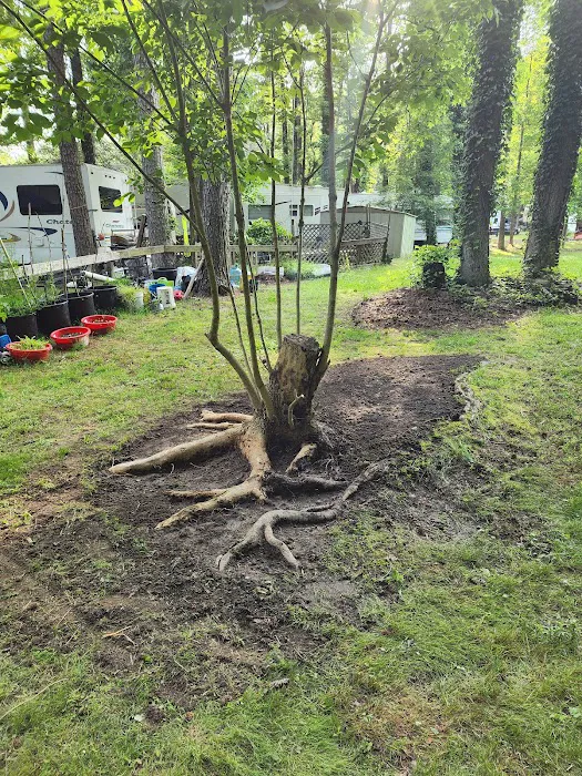 Big Timber Campground 0