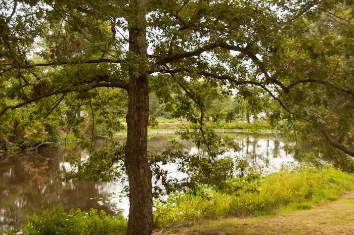 Thousand Trails Harbor View 1