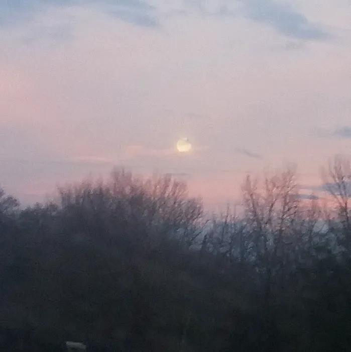 Walnut Grove Mobile Homes 1