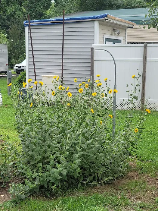 Four Winds Campgrounds 7