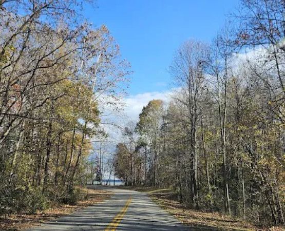 Bushey Point Group Camp