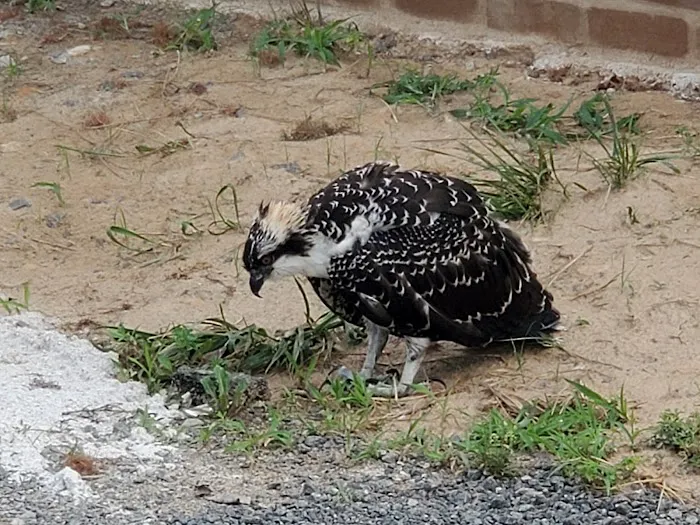 Holly Acres Mobile Home Park 0