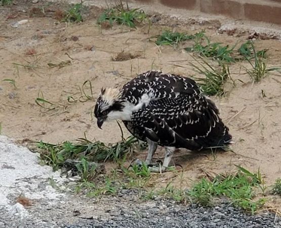 Holly Acres Mobile Home Park