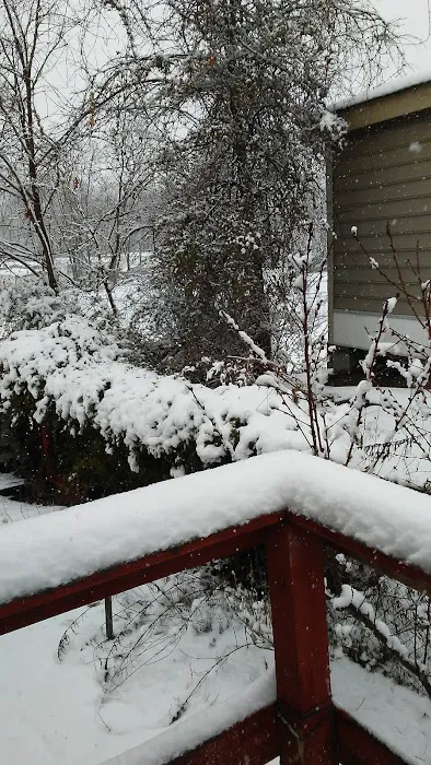 Bel Air Mobile Home Community 2