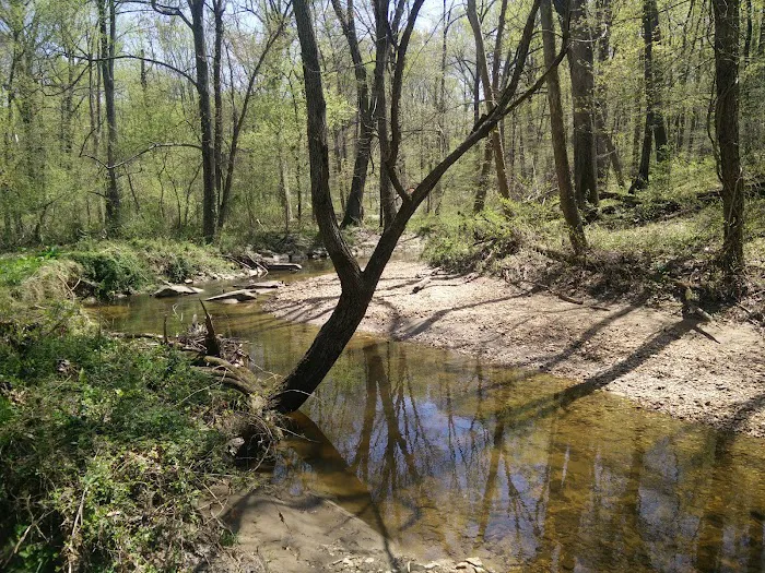 Robert C McDonell Campground 7