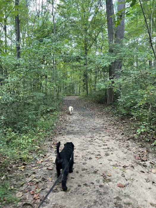 Robert C McDonell Campground 6