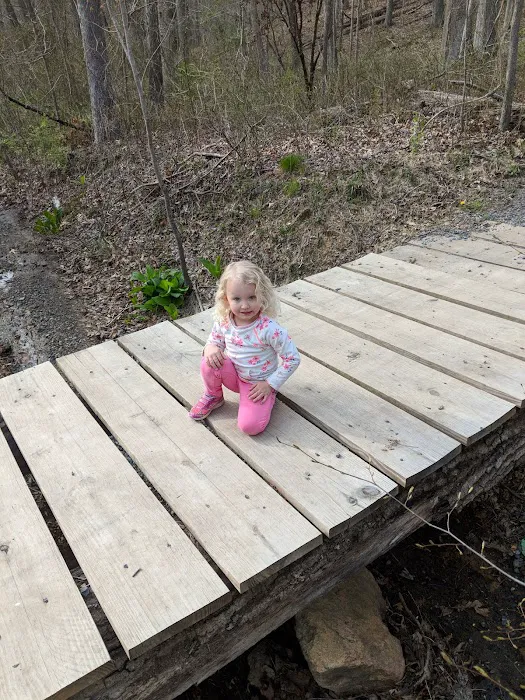 Robert C McDonell Campground 2