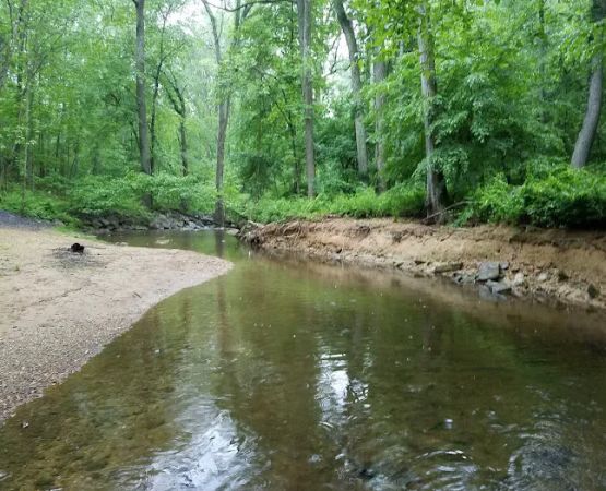 Robert C McDonell Campground