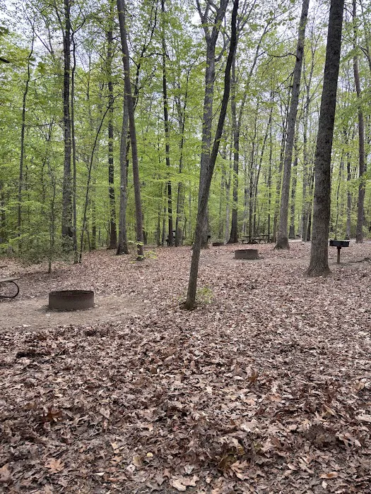 Burke Lake Campgrounds 9