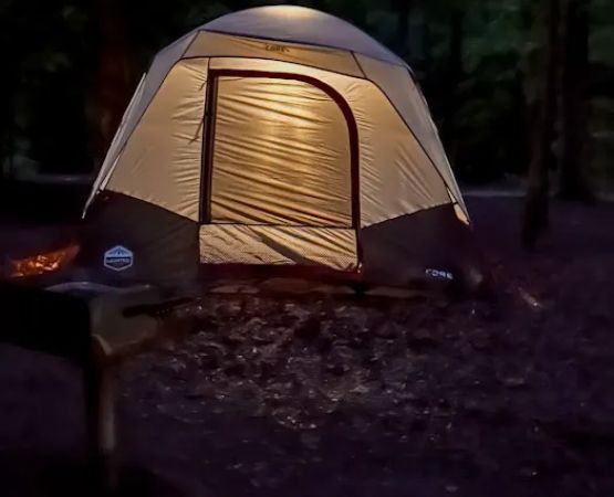 Burke Lake Campgrounds